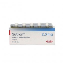 Гутрон таблетки 2,5 мг. №20 в Рубцовске и области фото